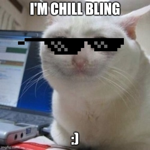 Crying cat | I'M CHILL BLING; :) | image tagged in crying cat | made w/ Imgflip meme maker