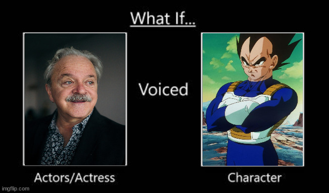 what if jim cummings voices vegeta Blank Meme Template