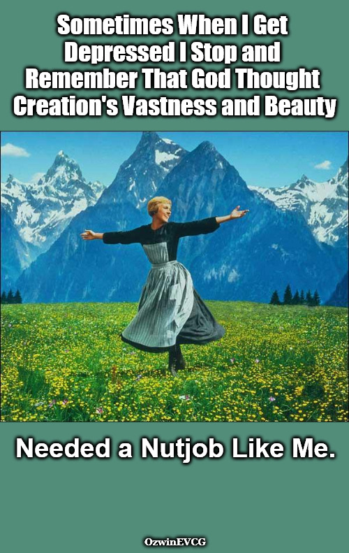 Thank You to Julie Andrews and Company from Team Ozwin Theo | Sometimes When I Get 

Depressed I Stop and 

Remember That God Thought 

Creation's Vastness and Beauty; Needed a Nutjob Like Me. OzwinEVCG | image tagged in happy,sad,gods,goddesses,creation,perspective | made w/ Imgflip meme maker