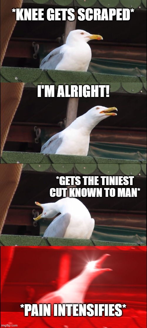 Inhaling Seagull | *KNEE GETS SCRAPED*; I'M ALRIGHT! *GETS THE TINIEST CUT KNOWN TO MAN*; *PAIN INTENSIFIES* | image tagged in memes,inhaling seagull,relatable,relatable memes,funny,funny memes | made w/ Imgflip meme maker