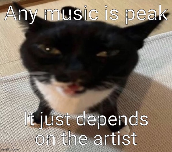 Cat of anger | Any music is peak; It just depends on the artist | image tagged in cat of anger | made w/ Imgflip meme maker