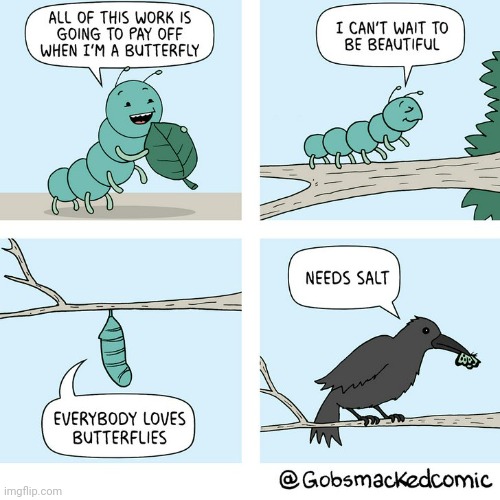 Salt | image tagged in salt,butterflies,caterpillar,caterpillars,comics,comics/cartoons | made w/ Imgflip meme maker