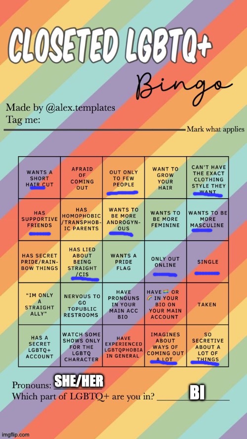 Idk man | SHE/HER; BI | image tagged in closeted lgbtq bingo | made w/ Imgflip meme maker