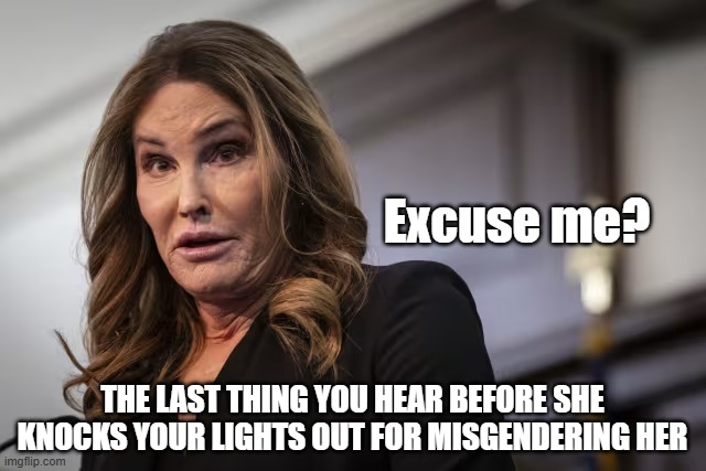 Don't let this be you | Excuse me? THE LAST THING YOU HEAR BEFORE SHE KNOCKS YOUR LIGHTS OUT FOR MISGENDERING HER | image tagged in transwoman,trans,bruce,jenner,lgbtq,gay | made w/ Imgflip meme maker