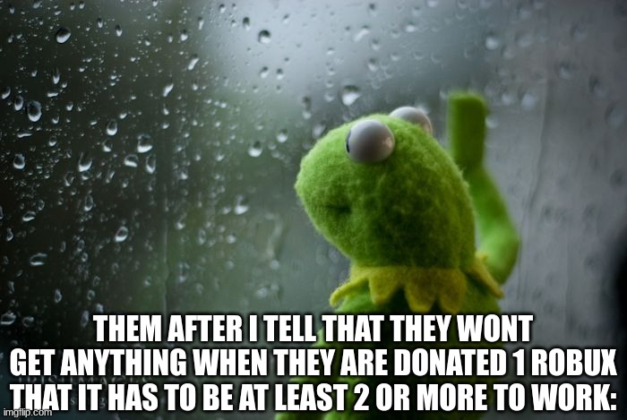 kermit window | THEM AFTER I TELL THAT THEY WONT GET ANYTHING WHEN THEY ARE DONATED 1 ROBUX THAT IT HAS TO BE AT LEAST 2 OR MORE TO WORK: | image tagged in kermit window | made w/ Imgflip meme maker