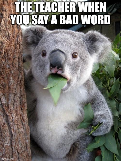 What did you just say!? | THE TEACHER WHEN YOU SAY A BAD WORD | image tagged in memes,surprised koala | made w/ Imgflip meme maker