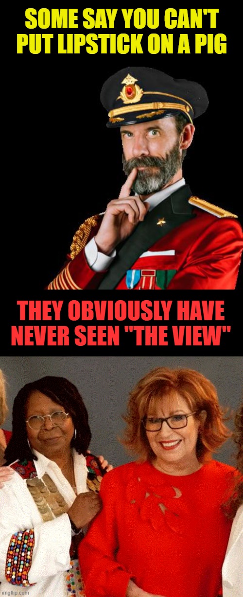 p i g | SOME SAY YOU CAN'T PUT LIPSTICK ON A PIG; THEY OBVIOUSLY HAVE NEVER SEEN "THE VIEW" | image tagged in captain obvious,piggy,the view | made w/ Imgflip meme maker