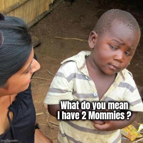 Third World Skeptical Kid Meme | What do you mean I have 2 Mommies ? | image tagged in memes,third world skeptical kid | made w/ Imgflip meme maker