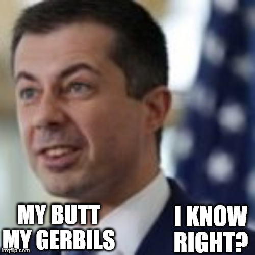 I KNOW
RIGHT? MY BUTT
MY GERBILS | image tagged in good clean fun | made w/ Imgflip meme maker