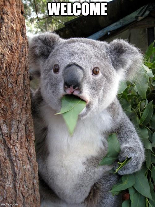 Surprised Koala | WELCOME | image tagged in memes,surprised koala | made w/ Imgflip meme maker