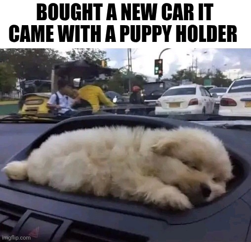 Bought A New Car It Came With A Puppy Holder | BOUGHT A NEW CAR IT CAME WITH A PUPPY HOLDER | image tagged in chris joines | made w/ Imgflip meme maker