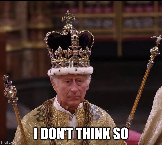 King Charles Crown | I DON’T THINK SO | image tagged in king charles crown | made w/ Imgflip meme maker