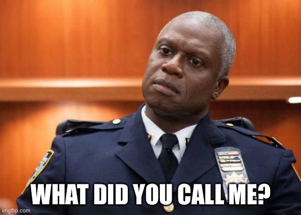 Captain Holt | WHAT DID YOU CALL ME? | image tagged in captain holt | made w/ Imgflip meme maker