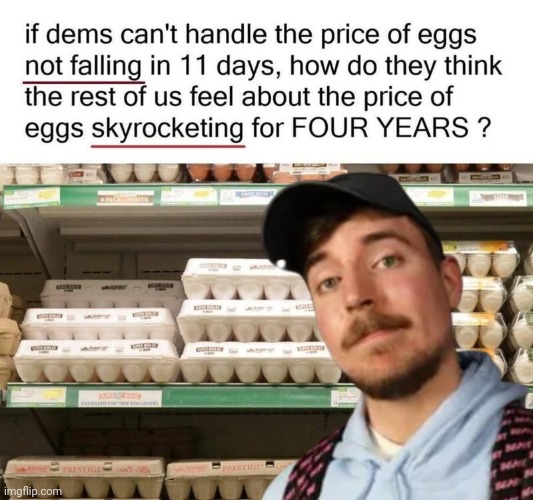 Egg-zactly the truth | image tagged in mr beast,fake | made w/ Imgflip meme maker