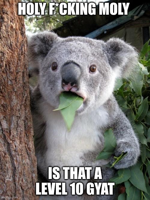 Surprised Koala | HOLY F*CKING MOLY; IS THAT A LEVEL 10 GYAT | image tagged in memes,surprised koala | made w/ Imgflip meme maker