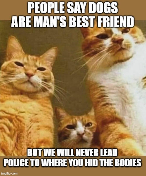 Cats don't narc you out | PEOPLE SAY DOGS ARE MAN'S BEST FRIEND; BUT WE WILL NEVER LEAD POLICE TO WHERE YOU HID THE BODIES | image tagged in cats,where the bodies are,man's best friend | made w/ Imgflip meme maker