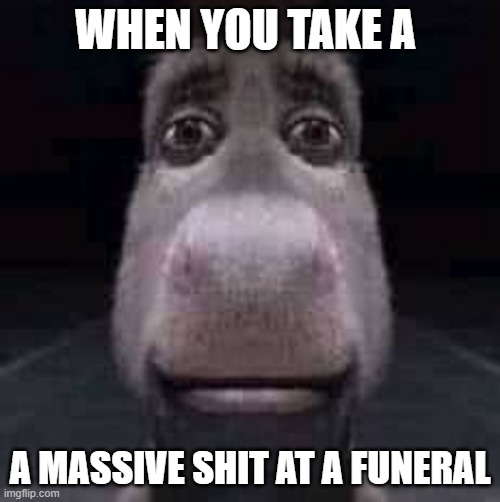 Donkey staring | WHEN YOU TAKE A; A MASSIVE SHIT AT A FUNERAL | image tagged in donkey staring | made w/ Imgflip meme maker