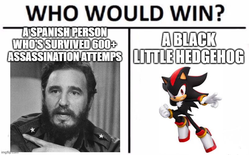 what | A SPANISH PERSON WHO'S SURVIVED 600+ ASSASSINATION ATTEMPS; A BLACK LITTLE HEDGEHOG | image tagged in memes,who would win | made w/ Imgflip meme maker