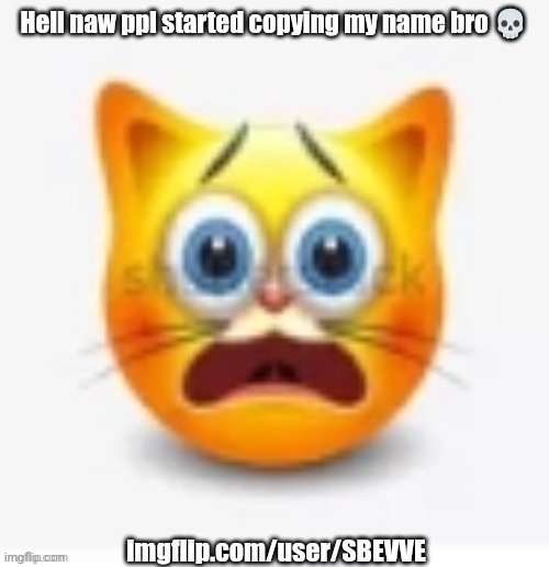 I AM THE REAL ONE!!! I'VE PLAYED THESE GAMES BEFORE!! | Hell naw ppl started copying my name bro 💀; imgflip.com/user/SBEVVE | made w/ Imgflip meme maker