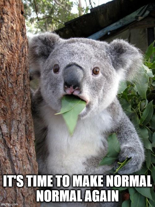 MNNA! It Makes Sense to Me | IT'S TIME TO MAKE NORMAL
NORMAL AGAIN | image tagged in memes,surprised koala,mnna | made w/ Imgflip meme maker