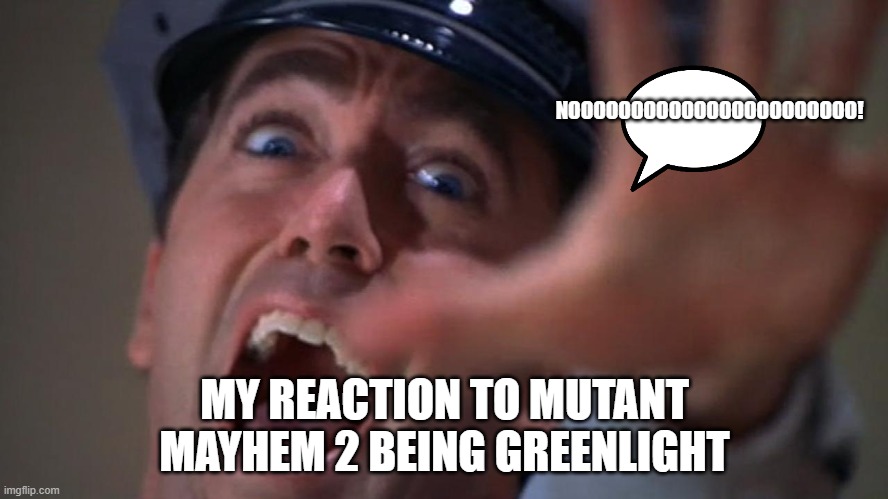 why paramount why | NOOOOOOOOOOOOOOOOOOOOOOO! MY REACTION TO MUTANT MAYHEM 2 BEING GREENLIGHT | image tagged in noooooooo,teenage mutant ninja turtles | made w/ Imgflip meme maker