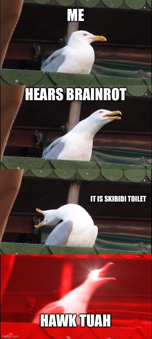 Inhaling Seagull | ME; HEARS BRAINROT; IT IS SKIBIDI TOILET; HAWK UTAH | image tagged in memes,inhaling seagull | made w/ Imgflip meme maker