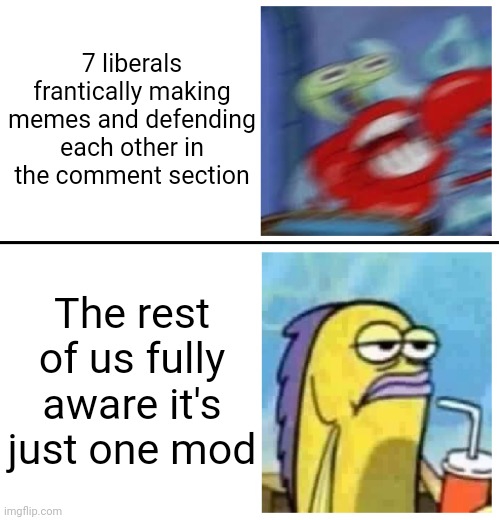 Excited vs Bored | 7 liberals frantically making memes and defending each other in the comment section; The rest of us fully aware it's just one mod | image tagged in excited vs bored | made w/ Imgflip meme maker