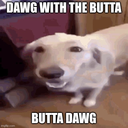 Butterdog | DAWG WITH THE BUTTA BUTTA DAWG | image tagged in butterdog | made w/ Imgflip meme maker