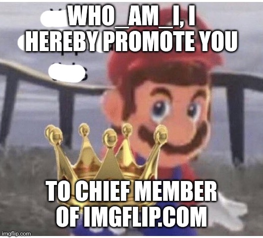 You Dropped This | WHO_AM_I, I HEREBY PROMOTE YOU TO CHIEF MEMBER OF IMGFLIP.COM | image tagged in you dropped this | made w/ Imgflip meme maker