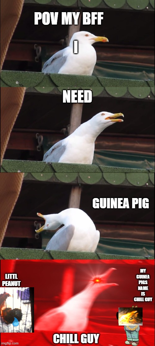 wow | POV MY BFF; I; NEED; GUINEA PIG; MY GUINEA PIGS NAME IS CHILL GUY; LITTL PEANUT; CHILL GUY | image tagged in memes,inhaling seagull | made w/ Imgflip meme maker