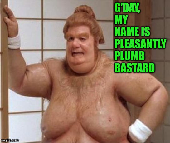 Fat Bast**d | G'DAY, MY NAME IS PLEASANTLY PLUMB BASTARD | image tagged in fat bast d | made w/ Imgflip meme maker