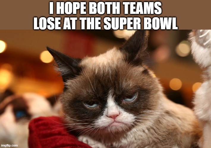 memes by Brad - Gurumpy cats wants both teams to lose the Super Bowl | I HOPE BOTH TEAMS LOSE AT THE SUPER BOWL | image tagged in funny,cats,grumpy cat,kittens,super bowl,nfl football | made w/ Imgflip meme maker