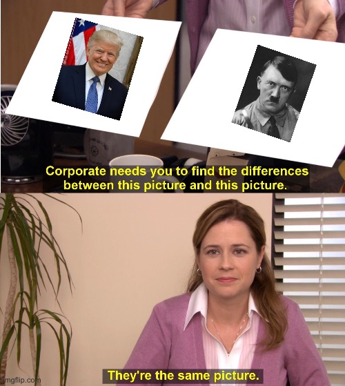 The truth | image tagged in memes,they're the same picture,hitler,donald trump,trump | made w/ Imgflip meme maker