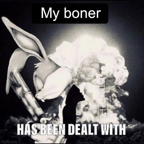 X has been dealt with | My boner | image tagged in x has been dealt with | made w/ Imgflip meme maker