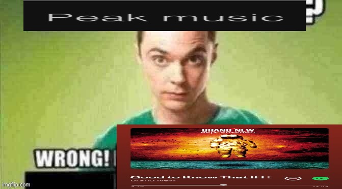 X is in the X? Wrong! X | image tagged in x is in the x wrong x | made w/ Imgflip meme maker