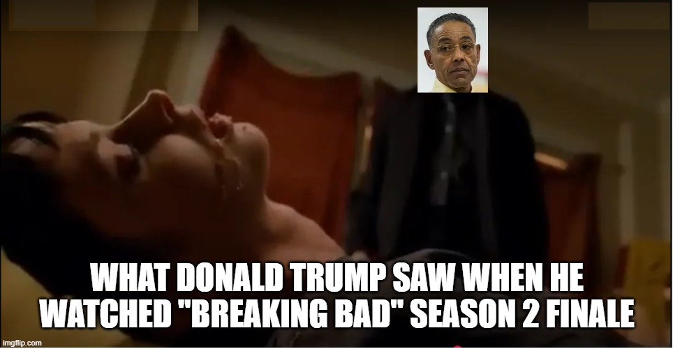 Air Collision: Trump blames Democrats and diversity politics | WHAT DONALD TRUMP SAW WHEN HE WATCHED ''BREAKING BAD'' SEASON 2 FINALE | image tagged in donald trump,breaking bad,dark humor,plane crash,delusional,racist | made w/ Imgflip meme maker