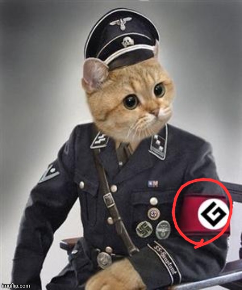 Grammar Nazi Cat | image tagged in grammar nazi cat | made w/ Imgflip meme maker