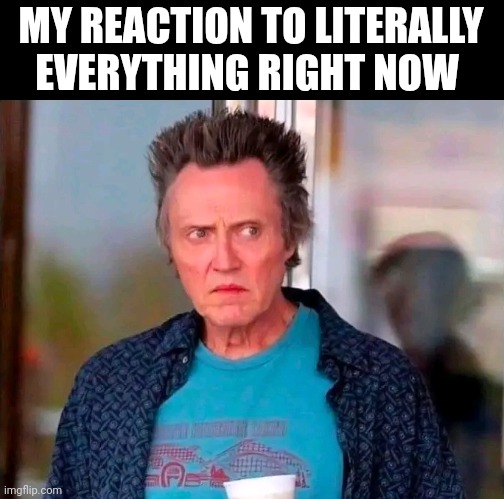 My Reaction To Literally Everything Right Now | MY REACTION TO LITERALLY EVERYTHING RIGHT NOW | image tagged in chris joines | made w/ Imgflip meme maker