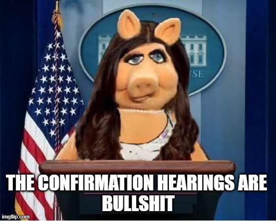 Republican Confirmation Hearings | THE CONFIRMATION HEARINGS ARE 
BULLSHIT | image tagged in republicans,republican,confirmation hearings,conservatives,project 2025 | made w/ Imgflip meme maker