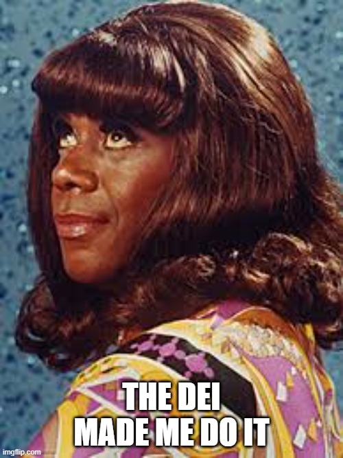 Flip Wilson as Geraldine | THE DEI MADE ME DO IT | image tagged in flip wilson as geraldine | made w/ Imgflip meme maker