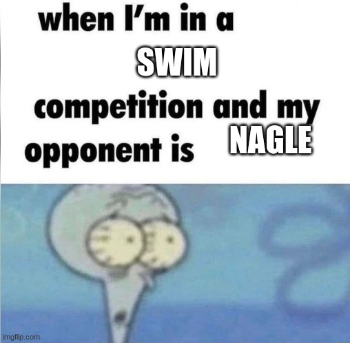 whe i'm in a competition and my opponent is | SWIM; NAGLE | image tagged in whe i'm in a competition and my opponent is | made w/ Imgflip meme maker