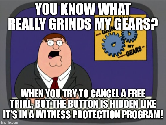 You know what really grinds my gears? | YOU KNOW WHAT REALLY GRINDS MY GEARS? WHEN YOU TRY TO CANCEL A FREE TRIAL, BUT THE BUTTON IS HIDDEN LIKE IT'S IN A WITNESS PROTECTION PROGRAM! | image tagged in memes,peter griffin news,family guy,family guy peter,free trials,netflix | made w/ Imgflip meme maker