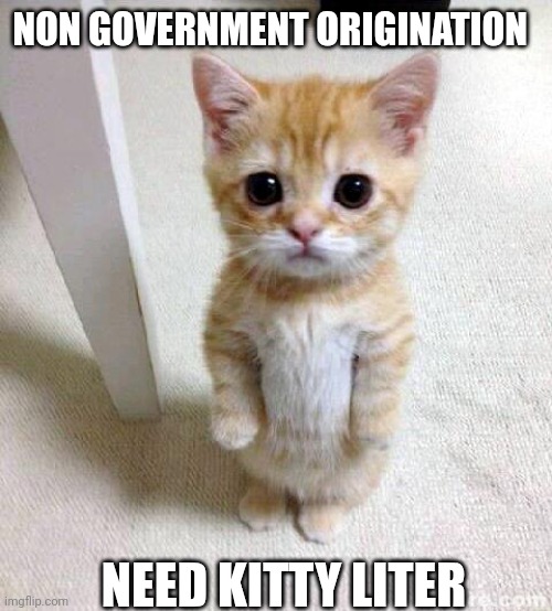 Non-governmental money laundry | NON GOVERNMENT ORIGINATION; NEED KITTY LITER | image tagged in memes,cute cat,pie charts | made w/ Imgflip meme maker