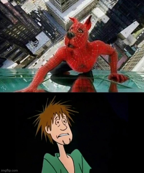 Scooby Doo as Spider-Man | image tagged in zoinks,scooby doo,spider-man,cursed image,memes,cursed | made w/ Imgflip meme maker