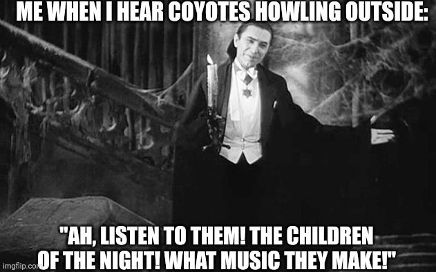 Children Of The Night | ME WHEN I HEAR COYOTES HOWLING OUTSIDE:; "AH, LISTEN TO THEM! THE CHILDREN OF THE NIGHT! WHAT MUSIC THEY MAKE!" | image tagged in bela lugosi dracula,children of the night,coyotes,vampire,dracula | made w/ Imgflip meme maker