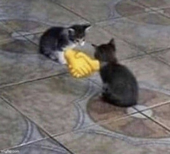 Cat Handshake | image tagged in cat handshake | made w/ Imgflip meme maker