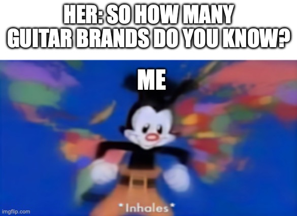 Yakko inhale | HER: SO HOW MANY GUITAR BRANDS DO YOU KNOW? ME | image tagged in yakko inhale | made w/ Imgflip meme maker