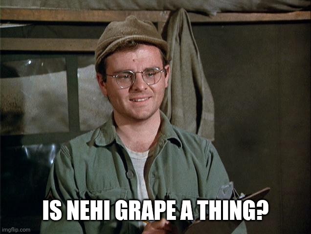 Radar O'Reilly | IS NEHI GRAPE A THING? | image tagged in radar o'reilly | made w/ Imgflip meme maker