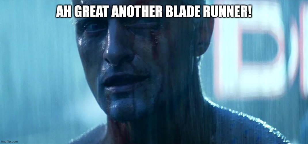 Blade Runner Tears in rain | AH GREAT ANOTHER BLADE RUNNER! | image tagged in blade runner tears in rain | made w/ Imgflip meme maker