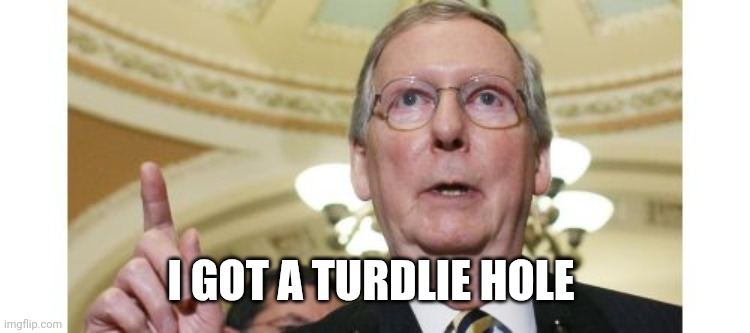 Mitch McConnell Meme | I GOT A TURDLIE HOLE | image tagged in memes,mitch mcconnell | made w/ Imgflip meme maker